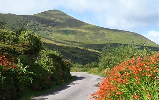 Ruhige Landstraßen auf dem Kerry Way