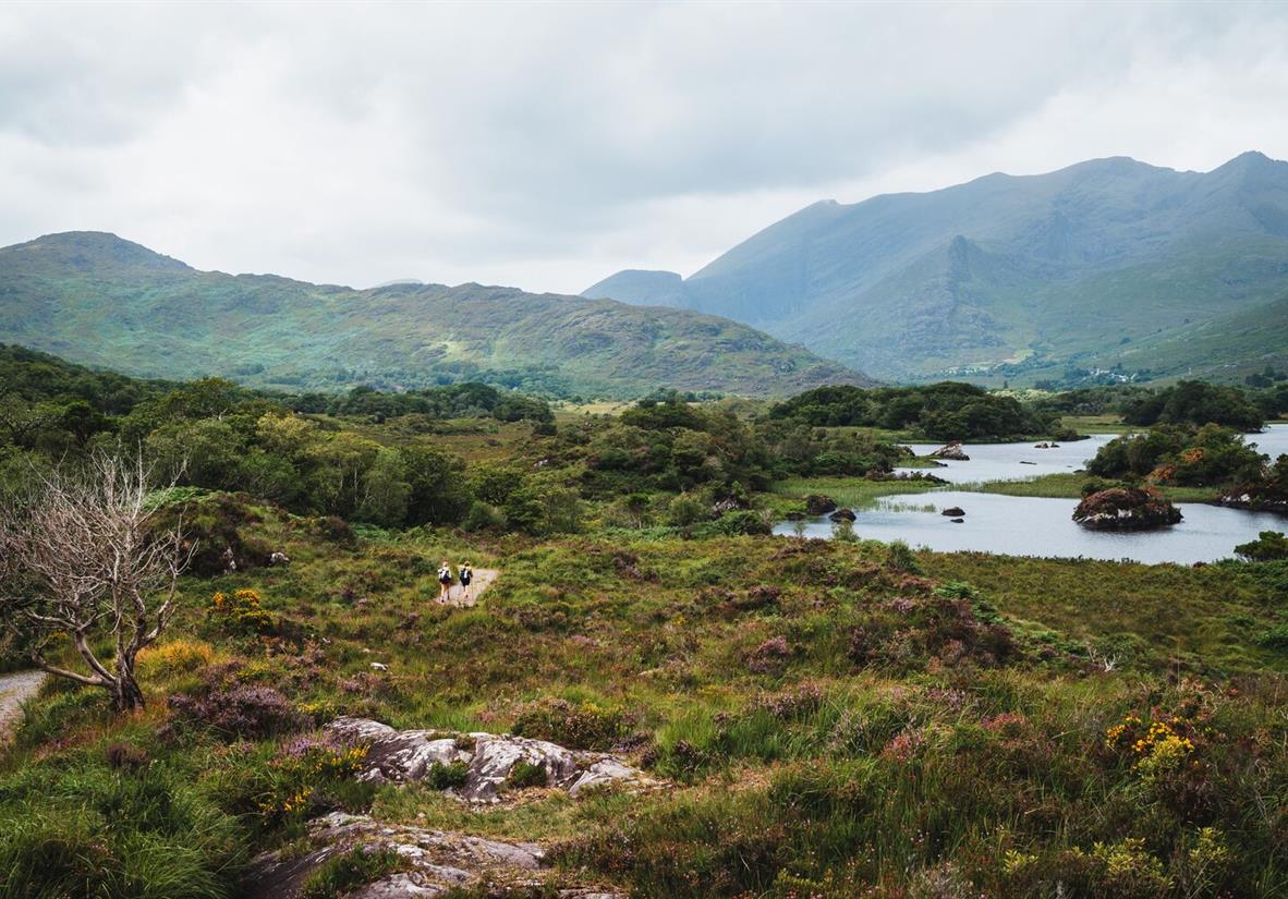 Wilde Landschaften auf dem Kerry Way