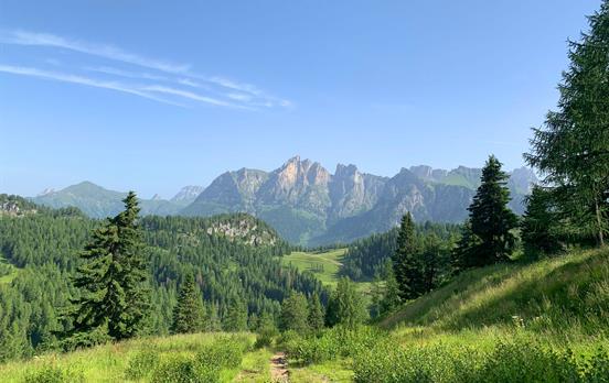 Near Passo Staulanza