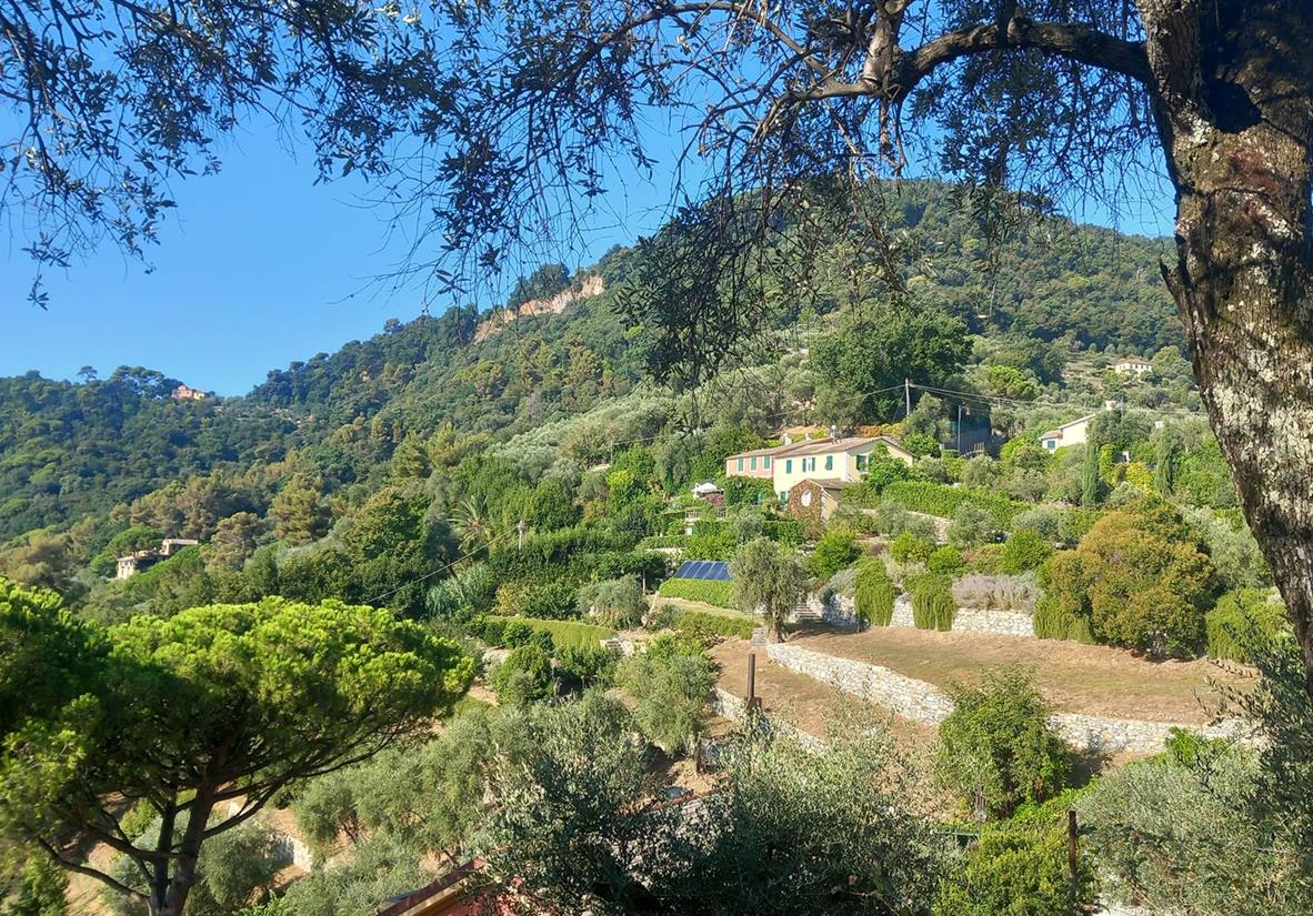 Beautiful lush landscapes