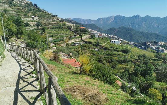 Near Scala