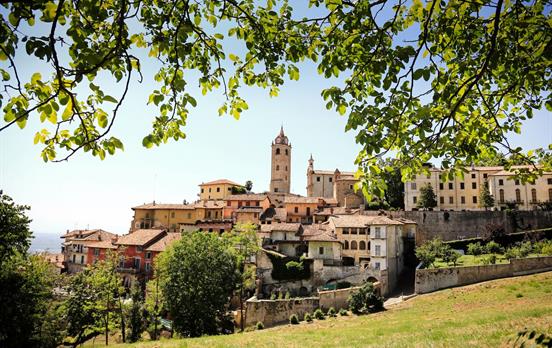 View of Monforte d'Alba