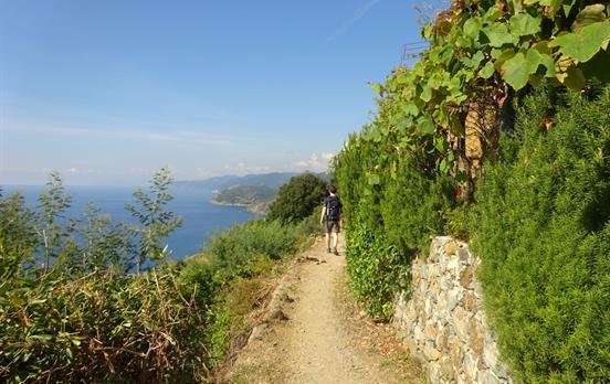 Küstenwandern mit Aussicht