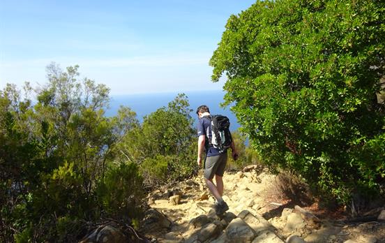 Über Stock und Stein entlang der Küste