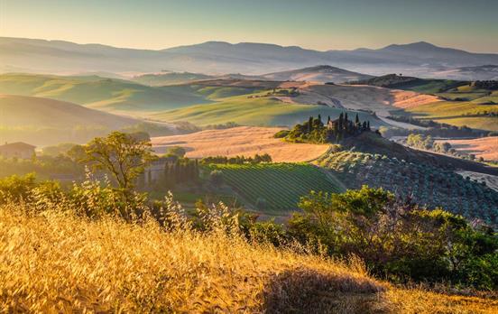 Weinberge in der Toskana