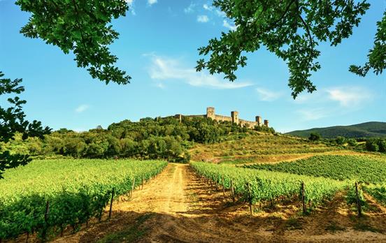 Unterwegs auf ruhigen Weinpfaden