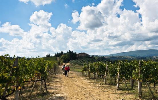 Wandern zwischen Weinreben