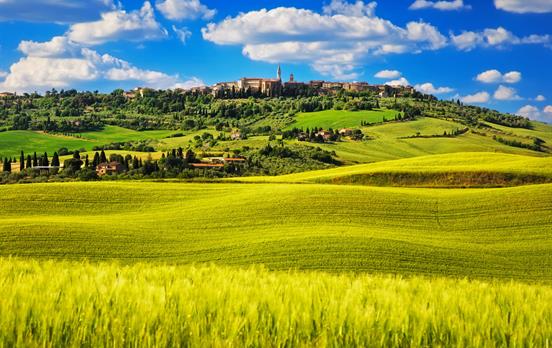 Walk through rolling, golden Tuscan landscapes