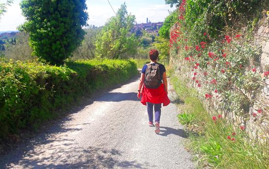 Auf dem Weg nach Siena