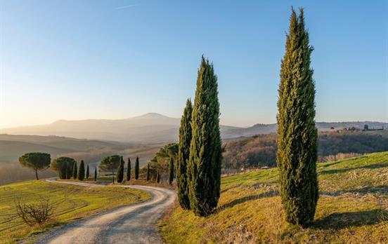 Typical Tuscan scenery