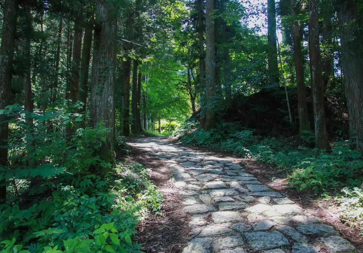 Cobbled path winding through the Nakasendo