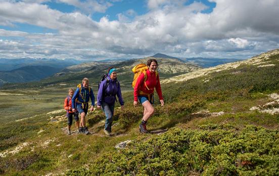 Walking in the Heart of Norway