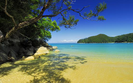 Amazing colours of nature on the Abel Tasman Track