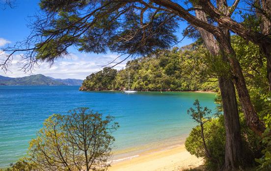 Turquoise waters of the Marlborough Sounds