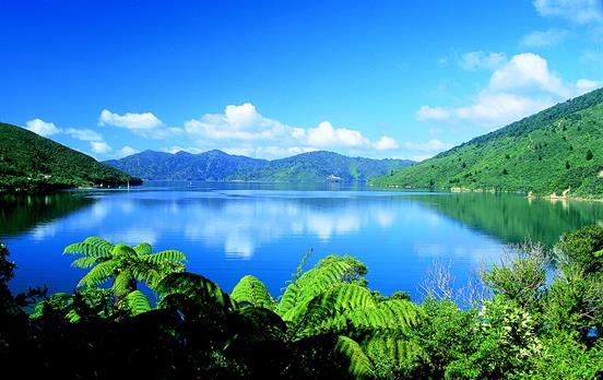 Amazing and diverse coastal views