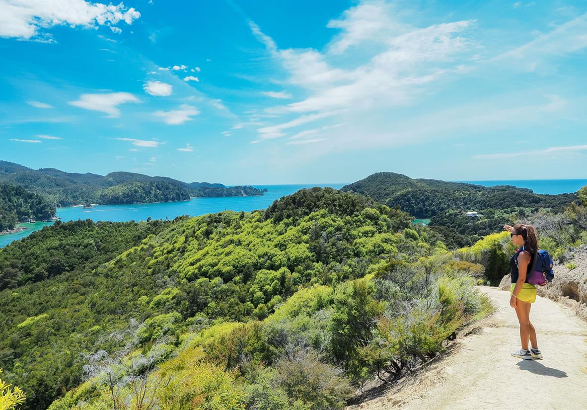 Wanderweg auf dem Abel Tasman Coast Track