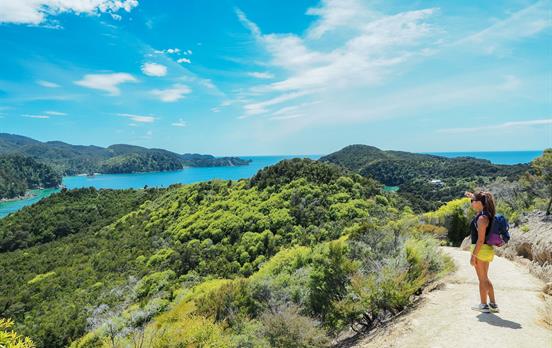 Wanderweg auf dem Abel Tasman Coast Track