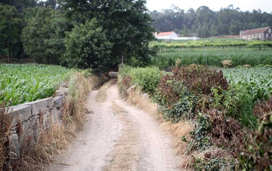 Pilgern Sie durch sanfte Landschaften