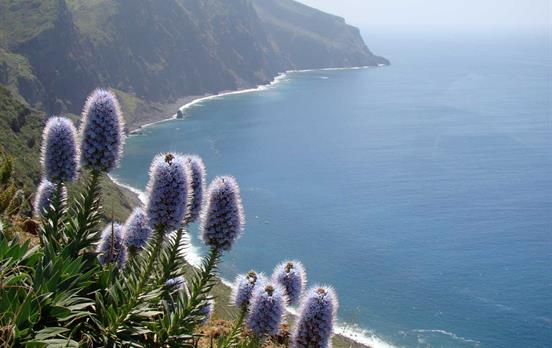 Küste bei PontadoPargo, dem westlichsten Punkt