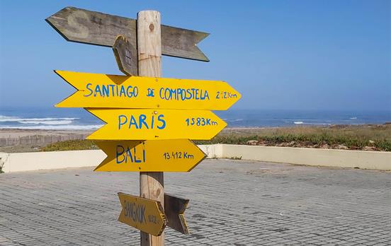 Camino signage will always keep you on Track