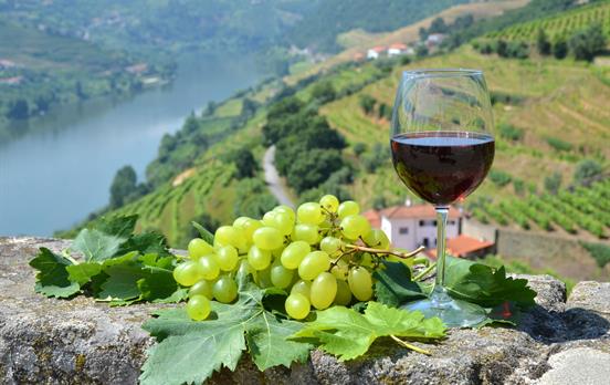 The Douro Valley is a wine lover's paradise