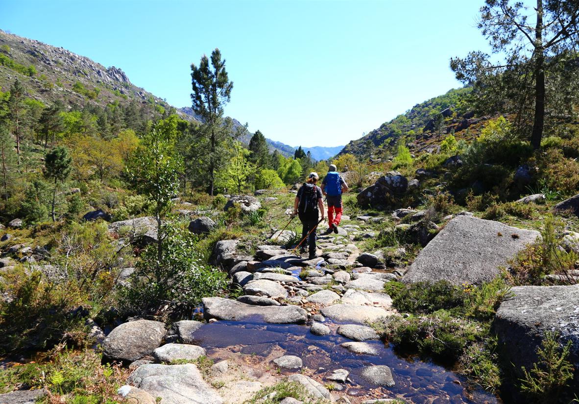 Walking in the national park