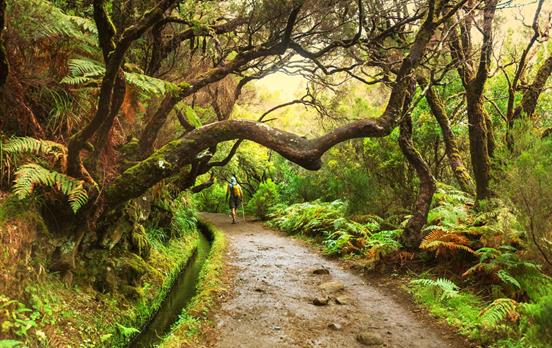 Levada Mrchenwald