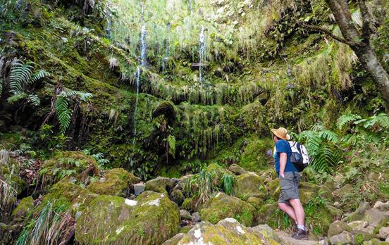 Explore the ever changing landscapes