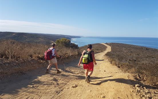 Ausblicke auf den Ozean