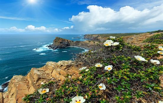 Genießen Sie die artenreiche Flora und Fauna