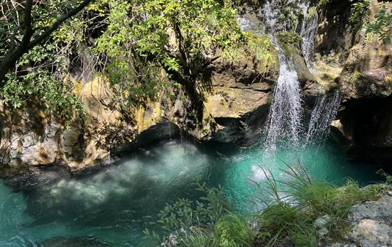 Die türkisblaue Soca