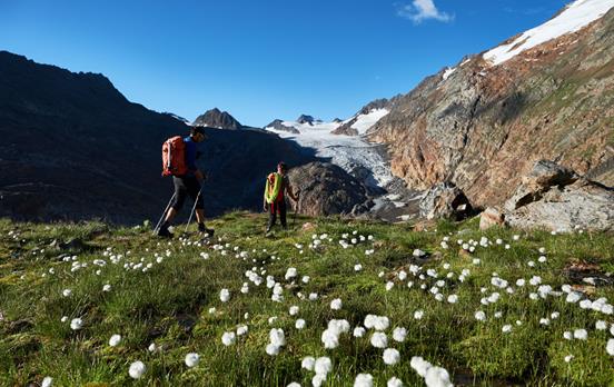 Grüne Almwiesen ©A.Brey, Ötztal Tourismus