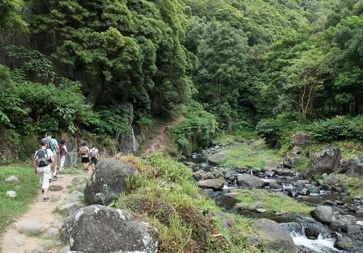 Faial da Terra ©Turismo dos Acores