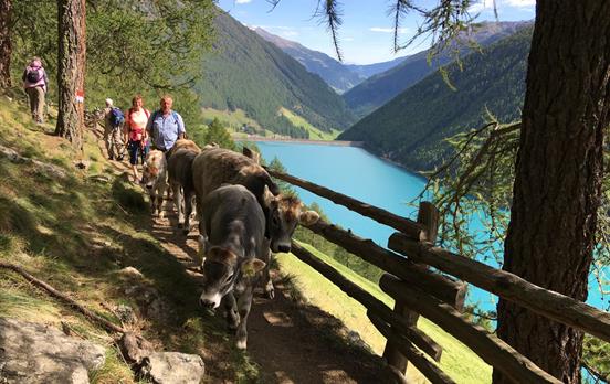 Entlang des Stausees von Vernagt