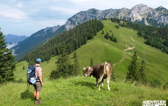 Wandergenossen am Zahmen Kaiser