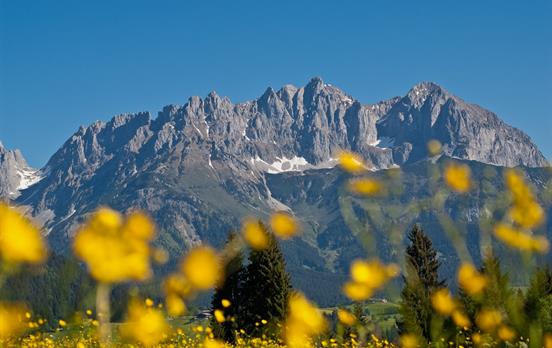 Blick auf den Koasa ©TVB Wilder Kaiser