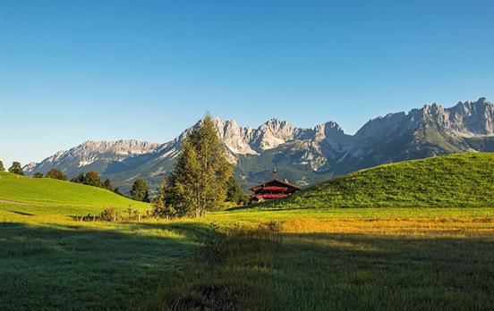 Alm mit Kaisergebirge ©D.Reiter