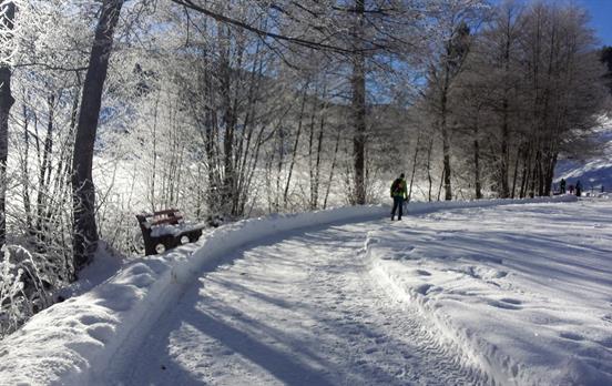Winterwandern ©Hochschwarzwald Tourismus