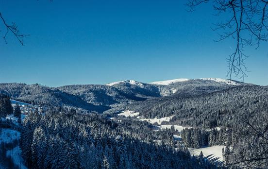 Winterparadies ©Hochschwarzwald Tourismus