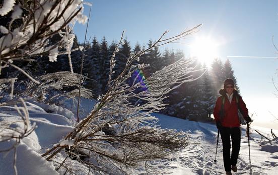Gepflegte Wege ©Hochschwarzwald Tourismus