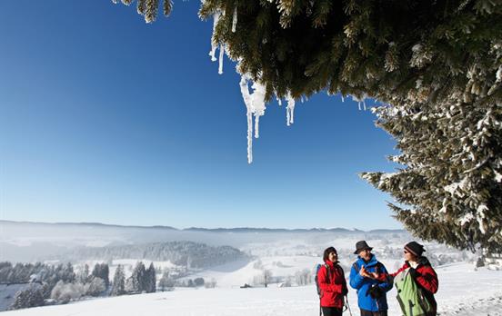 Glitzernde Winterpracht ©Hochschwarzwald Tourismus