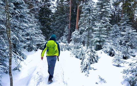 Winterwandern im Schwarzwald