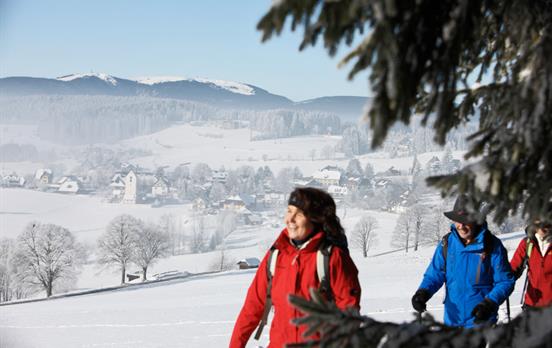 Glitzernde Winterpracht ©Hochschwarzwald Tourismus