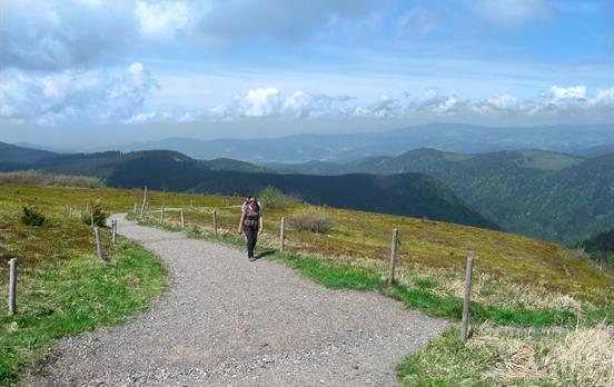 Aufwärts zum Feldberg