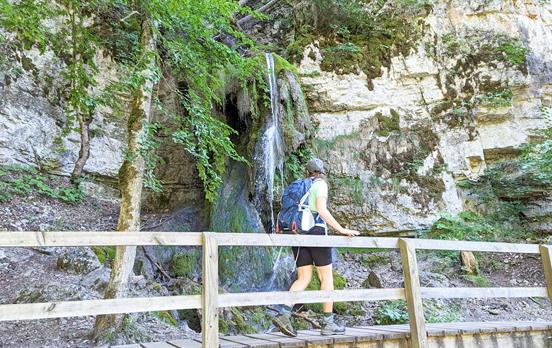 Abwechselnde Natur inmitten der Wutachschlucht