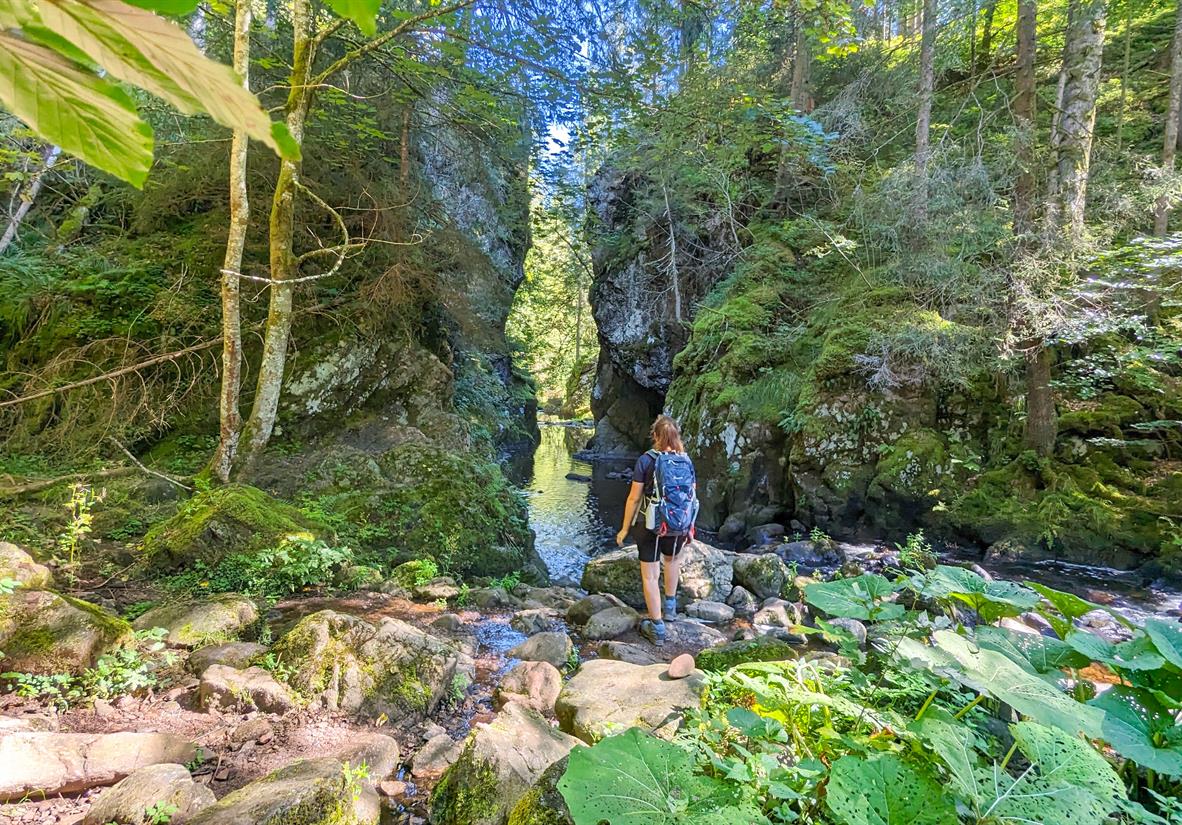 Der Rechenfelsen