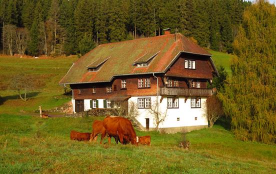 Original Schwarzwaldhaus