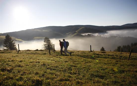 Schöner Schwarzwald ©Hochschwarzwald Tourismus