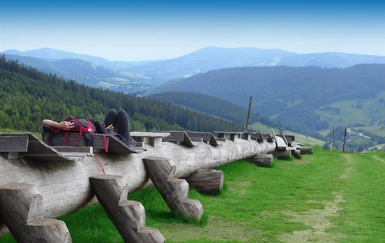 Die längste Baumliege der Welt