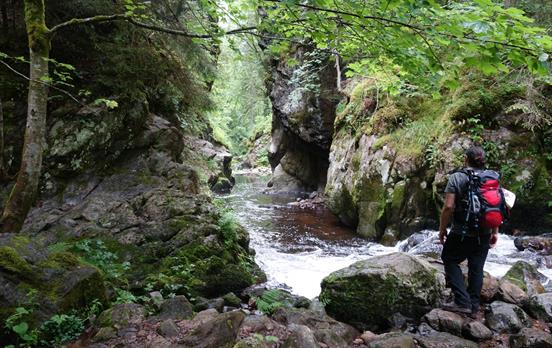 Wildrauschendes Wasser in der Wutachschlucht